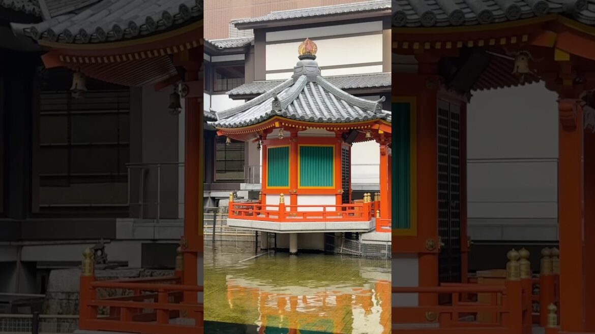 Kyoto’s Hidden Gem 🇯🇵 | Rokkakudo Kyoto’s Hidden Gem 🇯🇵 | Rokkakudo