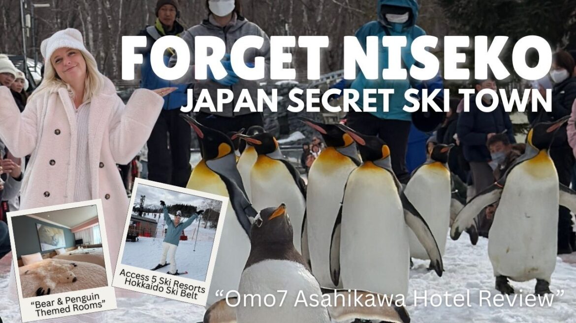 Forget Niseko! Stay HERE for a JAPAN SKI TRIP Instead - OMO7 Asahikawa Hokkaido (Niseko Alternative)
