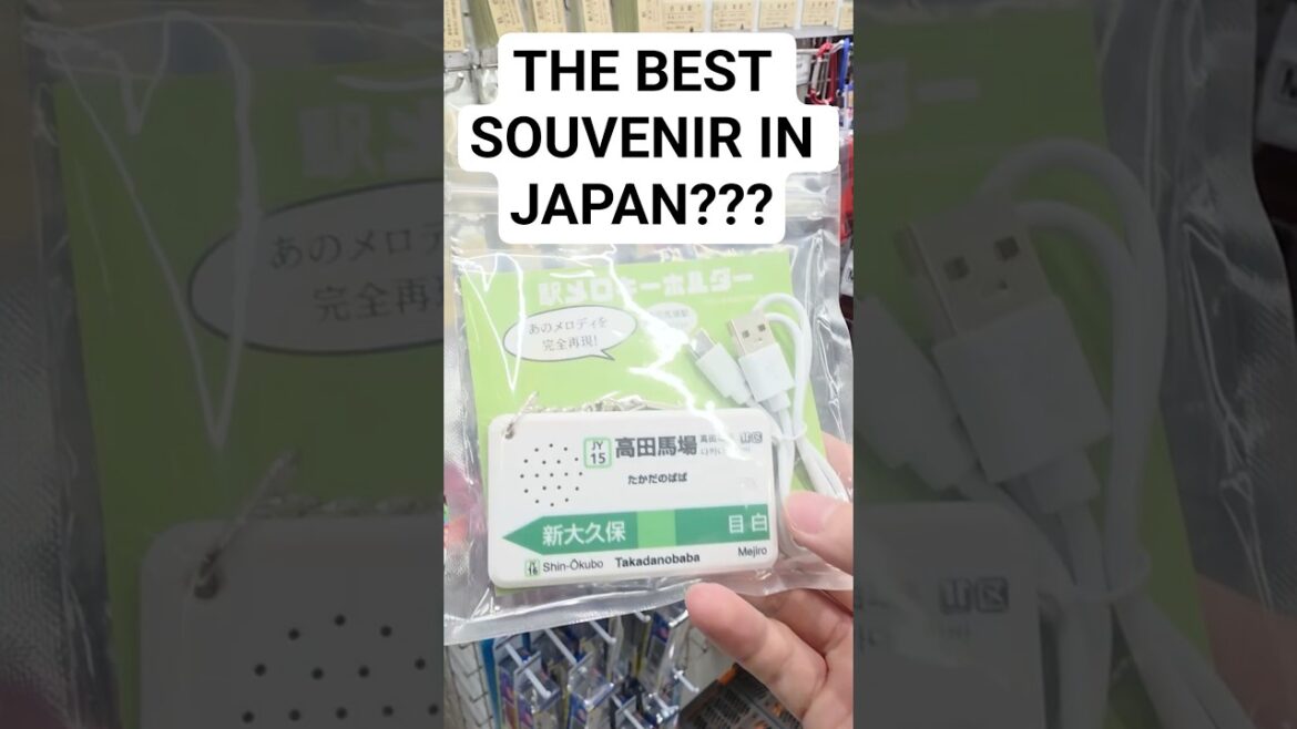 The Best Souvenir in Japan???