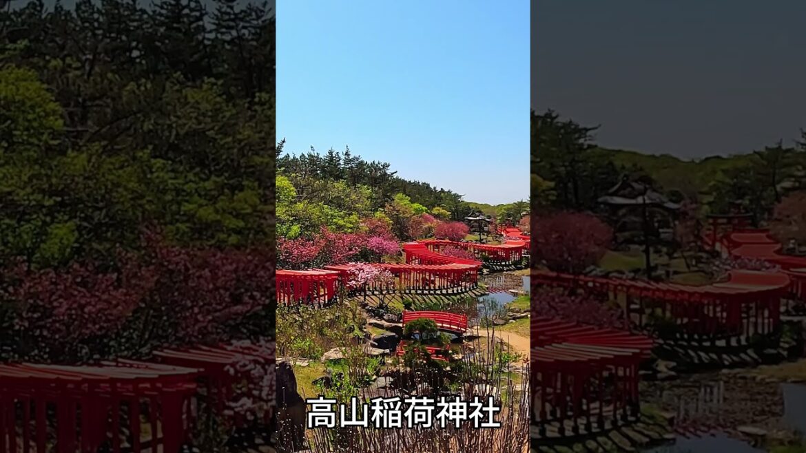 【Aomori】Walking Through Takayama Inari Shrine’s Red Torii Gates in Spring【4K】