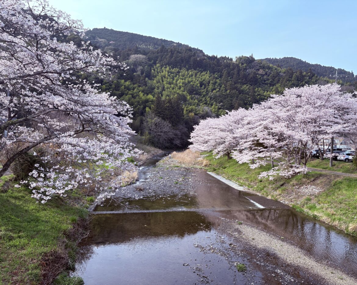 took this a few weeks ago from the Tateya bashi in Fujinomiya
