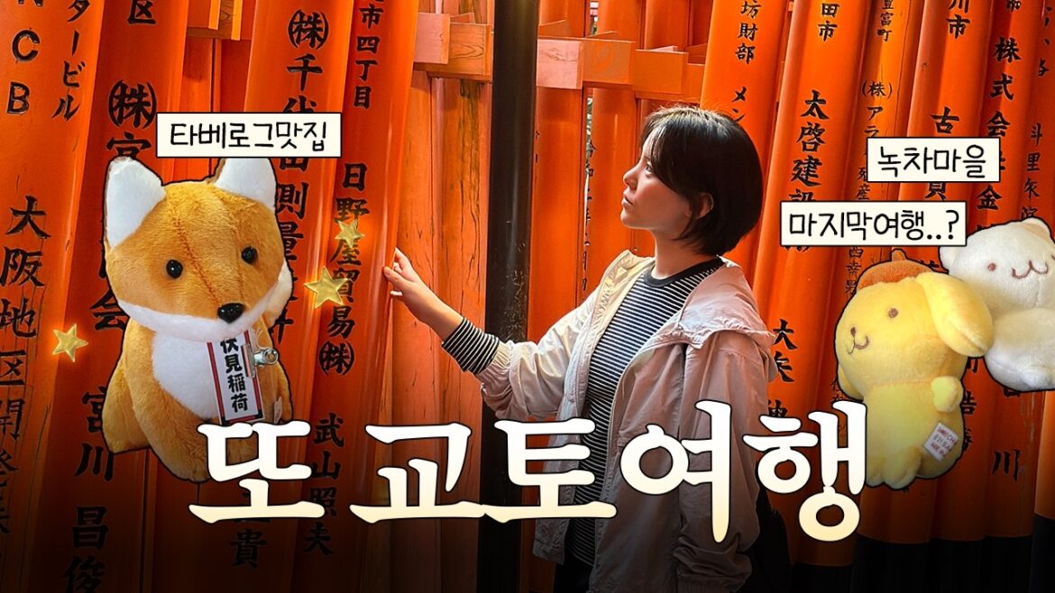 교토여행 브이로그, 교토 근교 녹차마을 우지, 타베로그 현지인맛집(+미슐랭), 비즈니스 업그레이드!? 교토여행 브이로그, 교토 근교 녹차마을 우지, 타베로그 현지인맛집(+미슐랭), 비즈니스 업그레이드!?