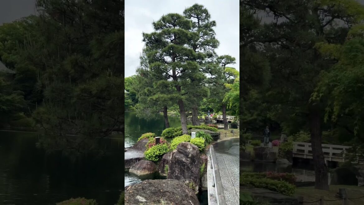 【NAGOYA】Must-See Tourist Attraction - Tokugawaen Garden