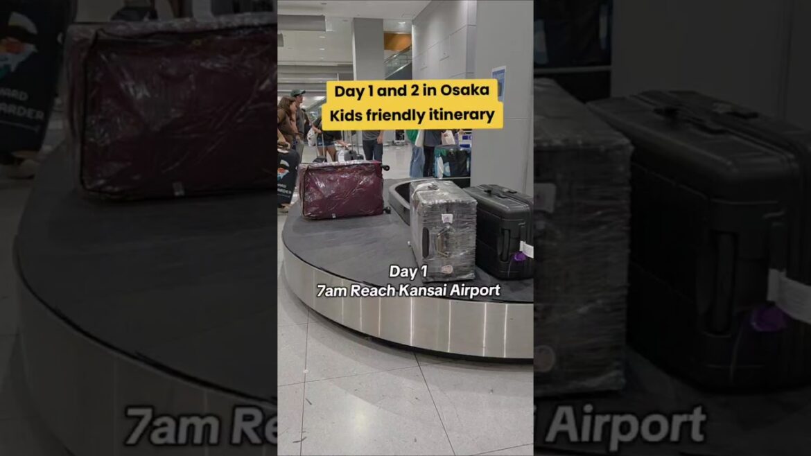 POV: You just landed in Osaka and the vibes are 10/10!  #osaka