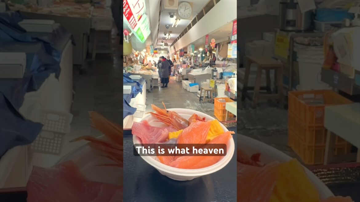 Japan’s BEST Seafood Bowl Experience 🍣 | Nokkedon Aomori Japan #seafood #sashimi #japanfood