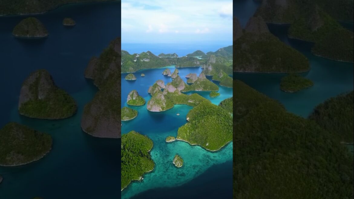 The Beauty of Japan, Indonesia & Australia is Unreal 🌸🌊 #travel #shorts #viral