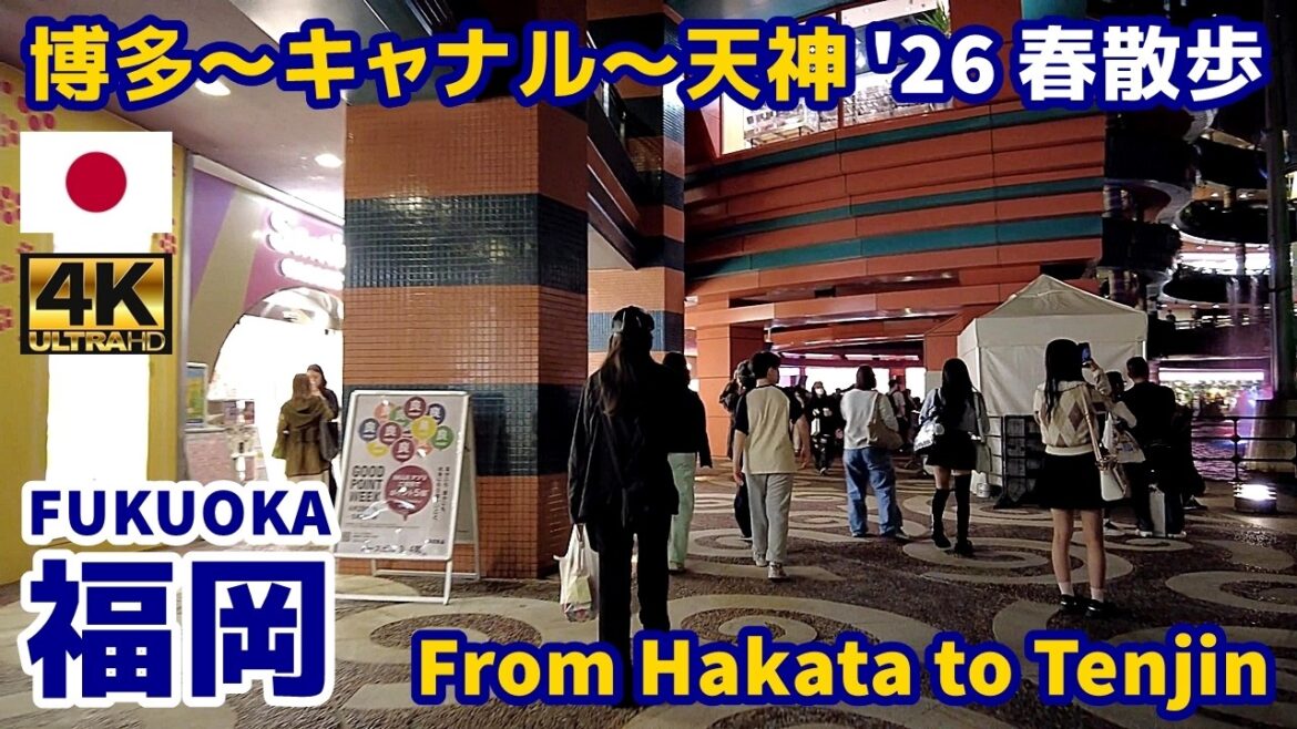 4K【Fukuoka Walking Tour／福岡】30 博多駅～天神 2026春散歩｜From Hakata to Tenjin｜Japan｜Kyushu｜九州｜旅行｜観光｜街歩き