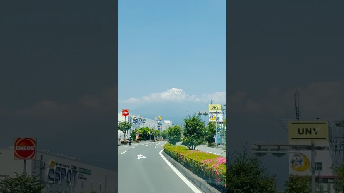 Mt. Fuji [Fuji City, Shizuoka, Japan] #mtfuji  #fujisan  #japan  #fuji  #japantravel #viral