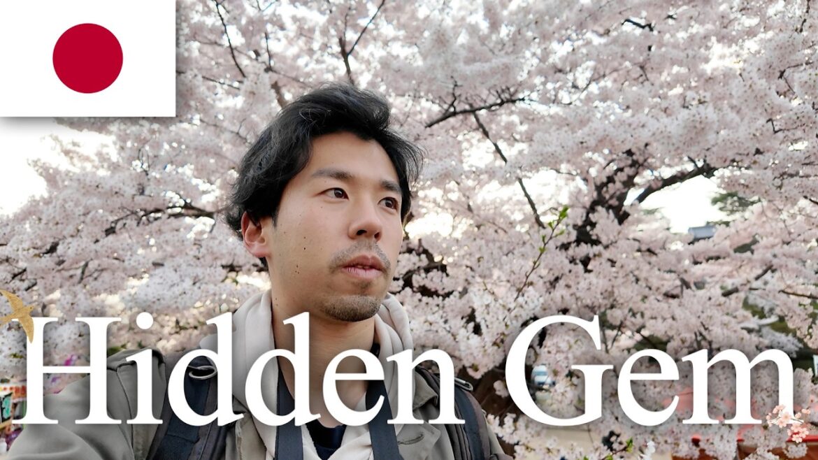Skip Tokyo’s Cherry Blossoms — Go Here Instead | Hidden Sakura Spot in Akita Skip Tokyo's Cherry Blossoms — Go Here Instead | Hidden Sakura Spot in Akita