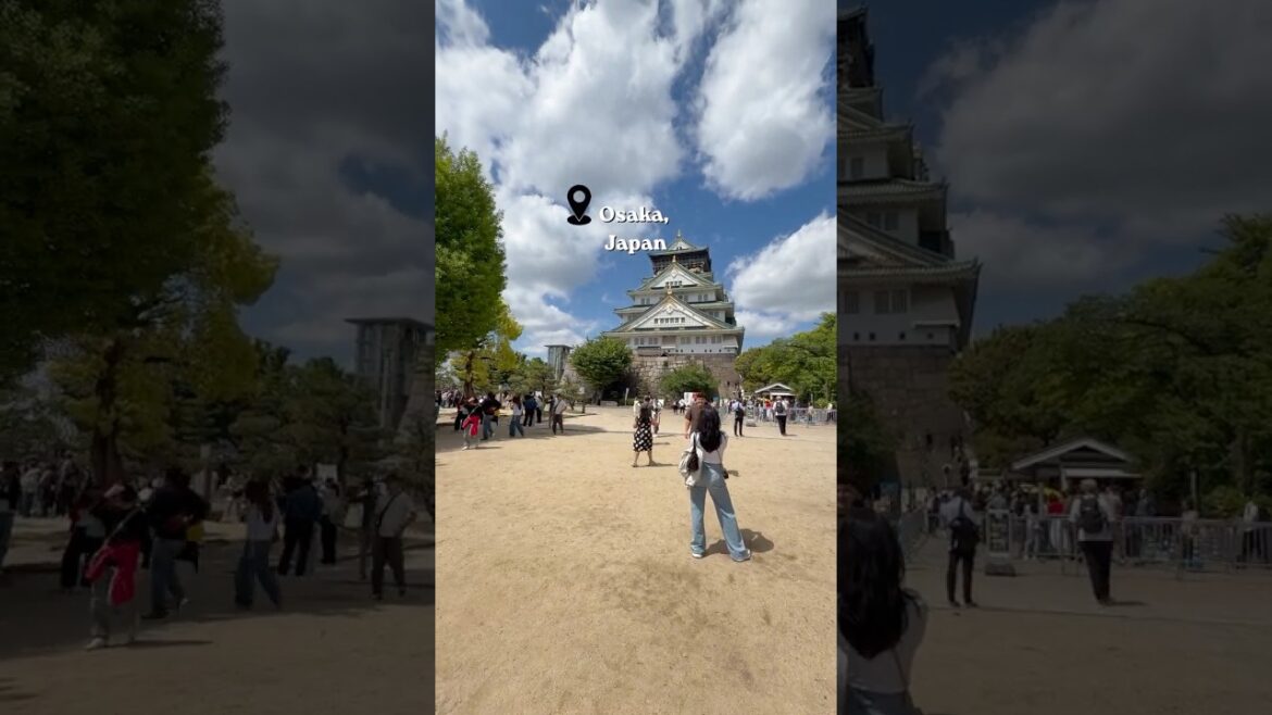 Osaka Castle, Japan🏯 #japan #YouTube #travel #travelvlog #history #shorts #shortsvideo #fyp