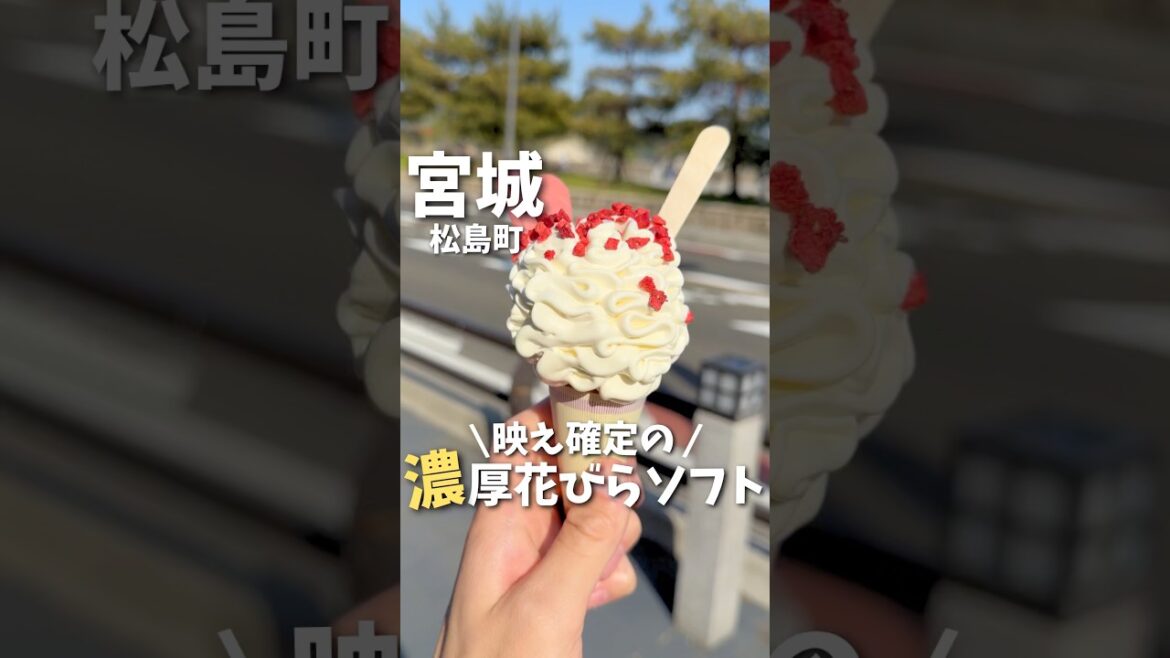 【宮城】松島食べ歩きで見つけた。SNS映え確定の花びらソフト🍦#宮城旅行 #宮城観光 #宮城グルメ #仙台観光 #仙台旅行 #松島 #松島観光 #松島食べ歩き #japan #shorts 【宮城】松島食べ歩きで見つけた。SNS映え確定の花びらソフト🍦#宮城旅行 #宮城観光 #宮城グルメ #仙台観光 #仙台旅行 #松島 #松島観光 #松島食べ歩き #japan #shorts