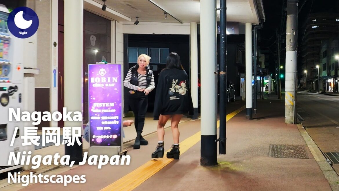 The Phoenix City: Nagaoka Station & Massive Historic Arcade Walk (4K ASMR) | Niigata The Phoenix City: Nagaoka Station & Massive Historic Arcade Walk (4K ASMR) | Niigata