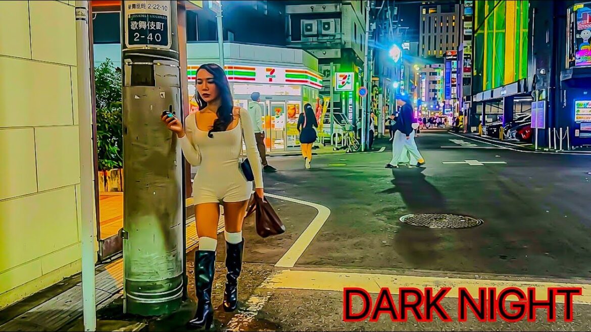 Inside Tokyo Okubo Park Area Dark Reality Inside Tokyo Okubo Park Area Dark Reality