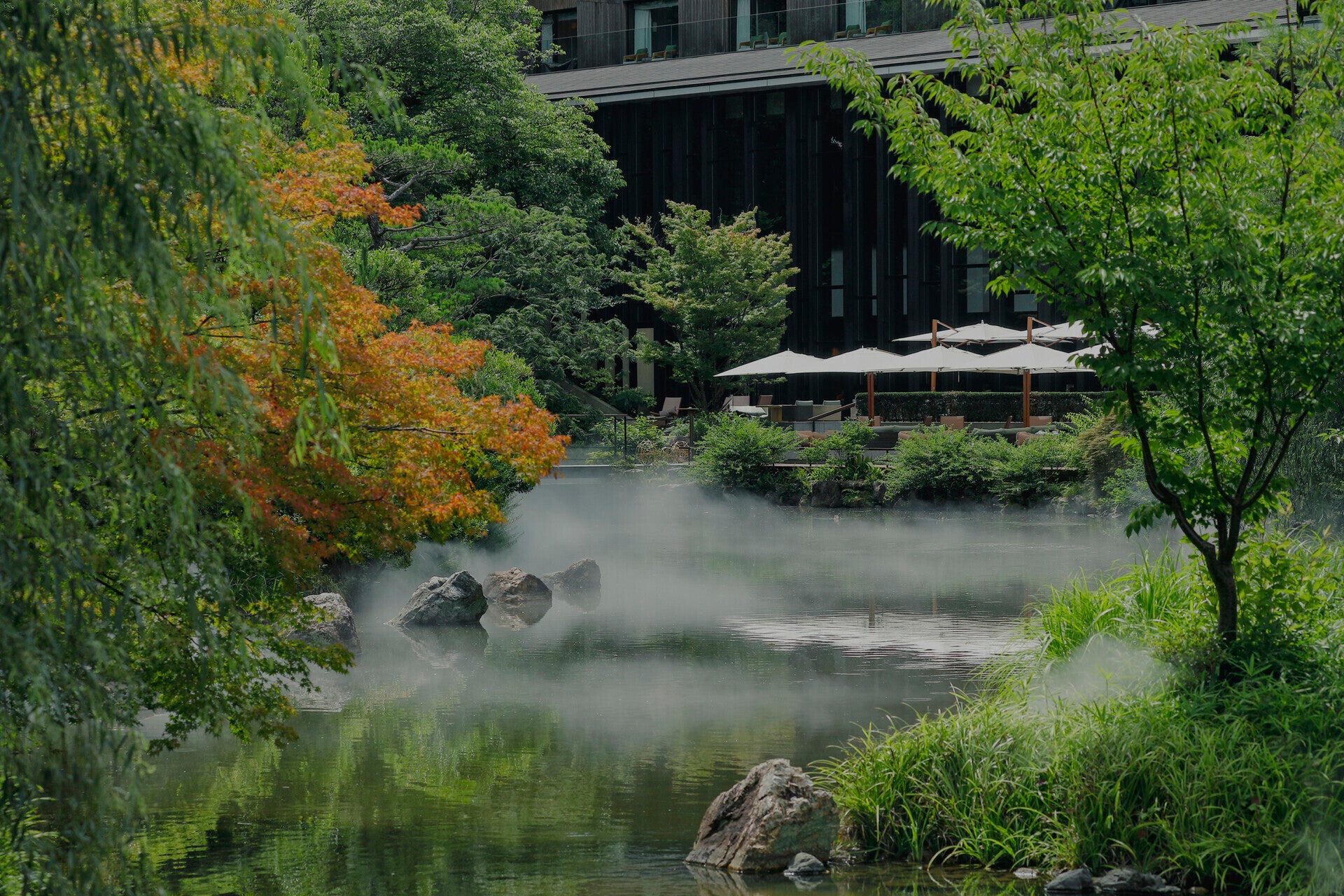 The hotel centres around a historic pond garden (Four Seasons)