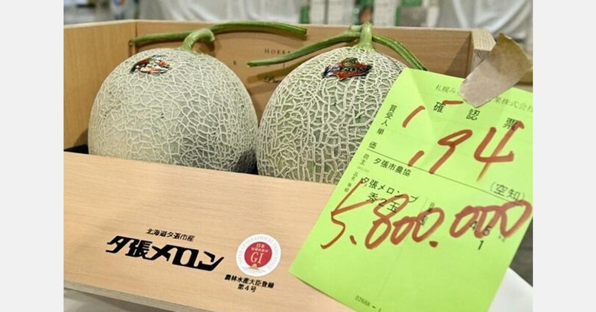 Pair of Japanese Yubari melons sells for US$36,500 at auction