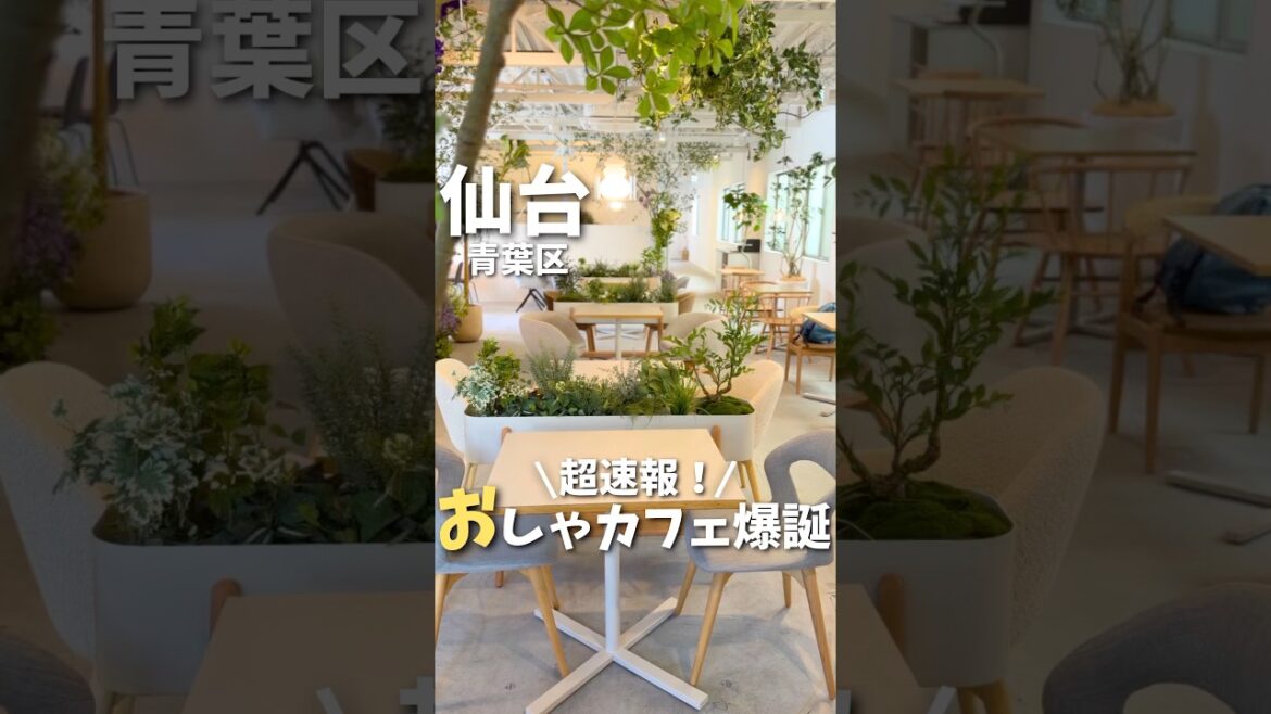 【仙台】超速報✨新店レビュー!緑あふれる癒しのおしゃカフェ☕️#宮城旅行 #宮城観光 #宮城グルメ #仙台観光 #仙台旅行 #仙台グルメ #japan #miyagi #sendai #shorts 【仙台】超速報✨新店レビュー!緑あふれる癒しのおしゃカフェ☕️#宮城旅行 #宮城観光 #宮城グルメ #仙台観光 #仙台旅行 #仙台グルメ #japan #miyagi #sendai #shorts