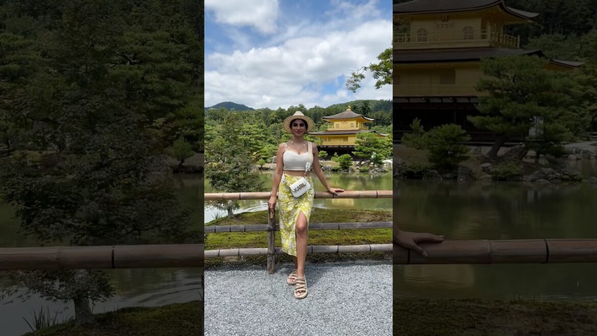 Golden temple in Kyoto Japan 🇯🇵