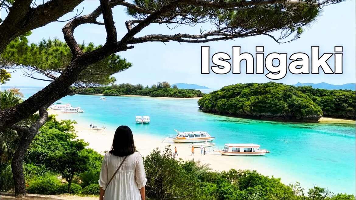 3 Days in Ishigaki, Okinawa 🌴 Food & Slow Travel in Japan 3 Days in Ishigaki, Okinawa 🌴 Food & Slow Travel in Japan
