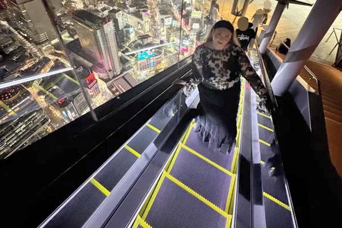 An aerial view from inside a building shows a person standing with their back turned, looking down at the bustling cityscape below. The image captures a panoramic view of numerous high-rise buildings, vibrant street lights, and a lively urban environment.