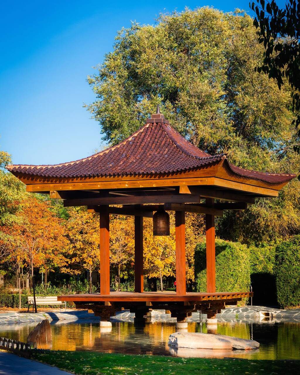 Japanese garden of la Vega, in Alcobendas, Madrid. Photo by @amilcaring.