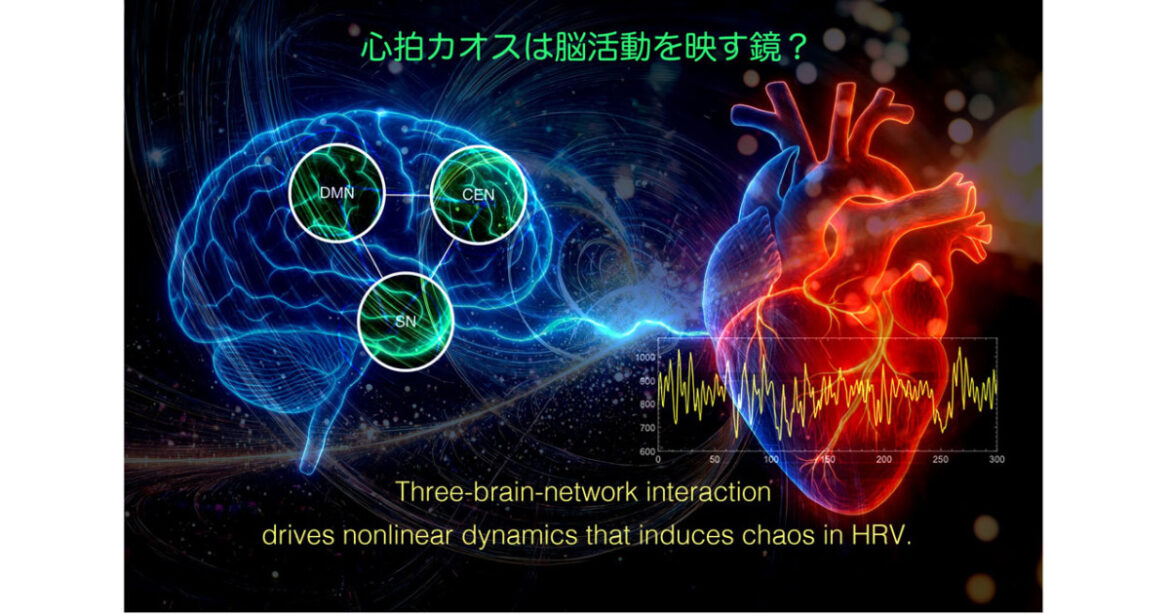 Chaos in the heart and brain