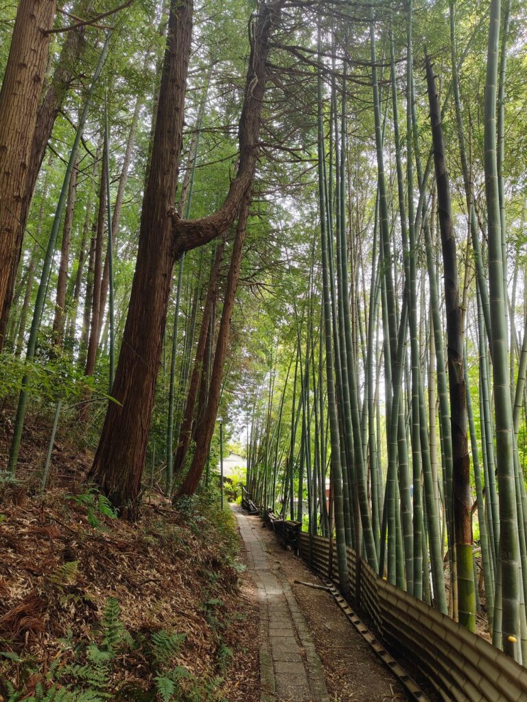 Some pictures from a recent Kyoto trip that I really vibed with