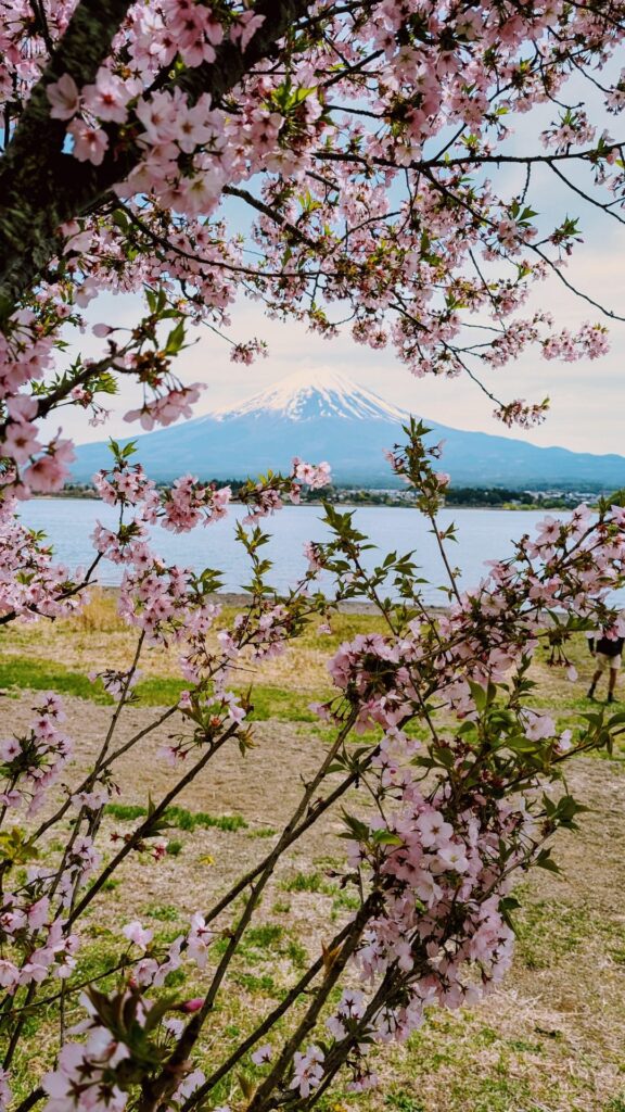 3 weeks in Japan - here some of my favorite pics