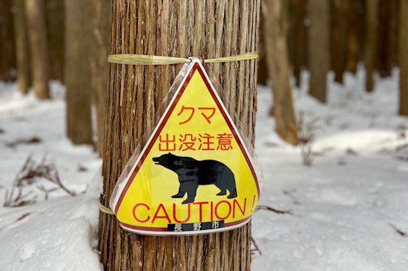 Bear attacks are increasing in remote areas of Japan where urban populations are falling.