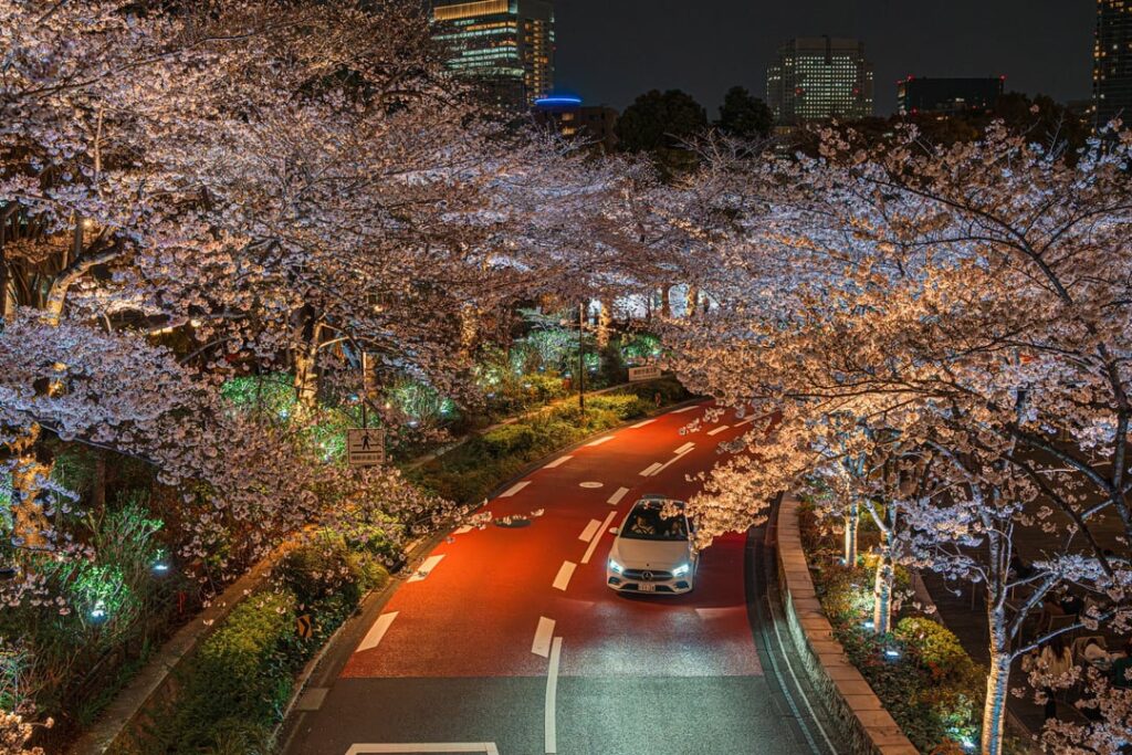 Night in Tokyo Midtown and Nihonbashi [OC]