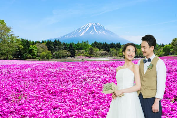 Wedding photo shoot with pink moss phlox and Mt. Fuji