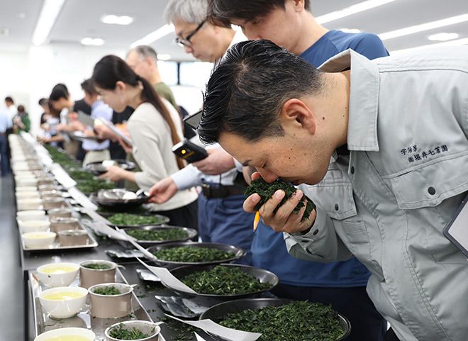 Average price of Kyoto ‘tencha’ jumps at season’s opening auction Photo/Illutration