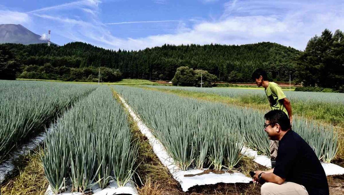 Crop production in Japan shifts north, high-altitude areas due to summer heat – Asia News Network Crop production in Japan shifts north, high-altitude areas due to summer heat – Asia News Network