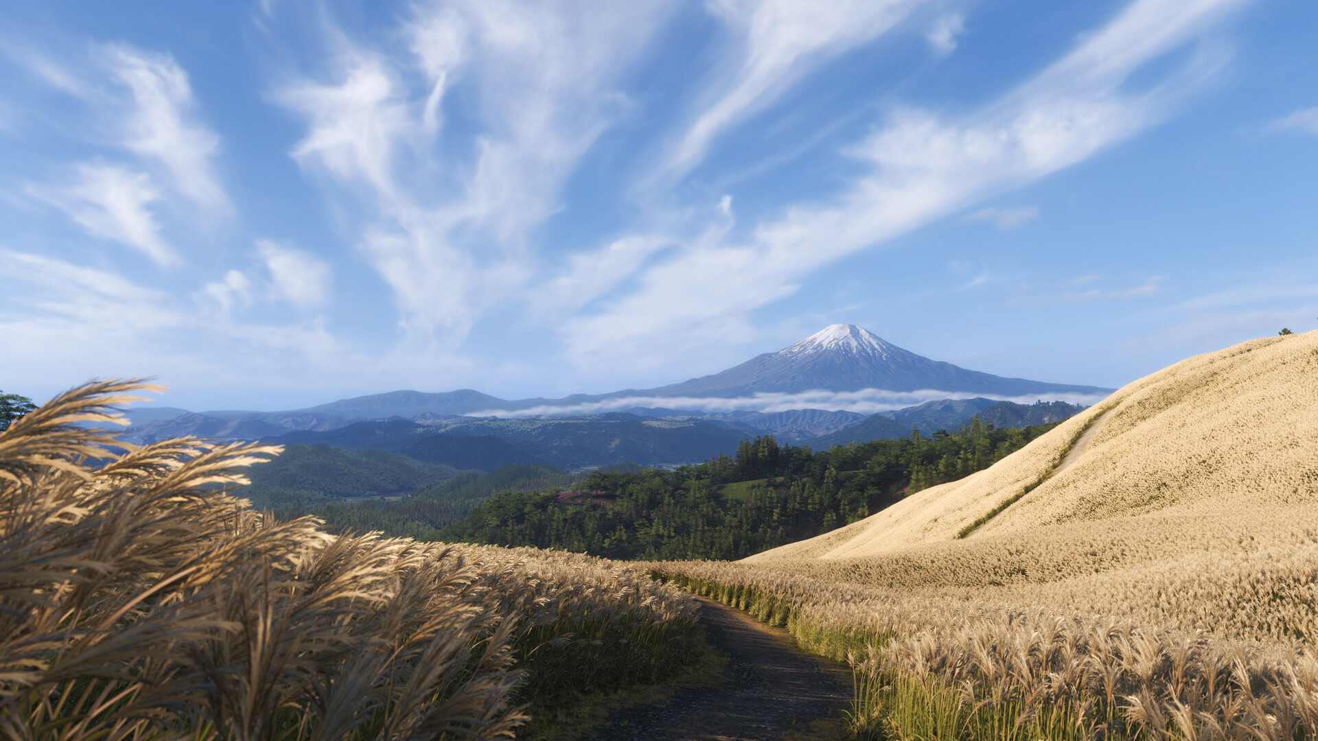 Forza Horizon 6_05