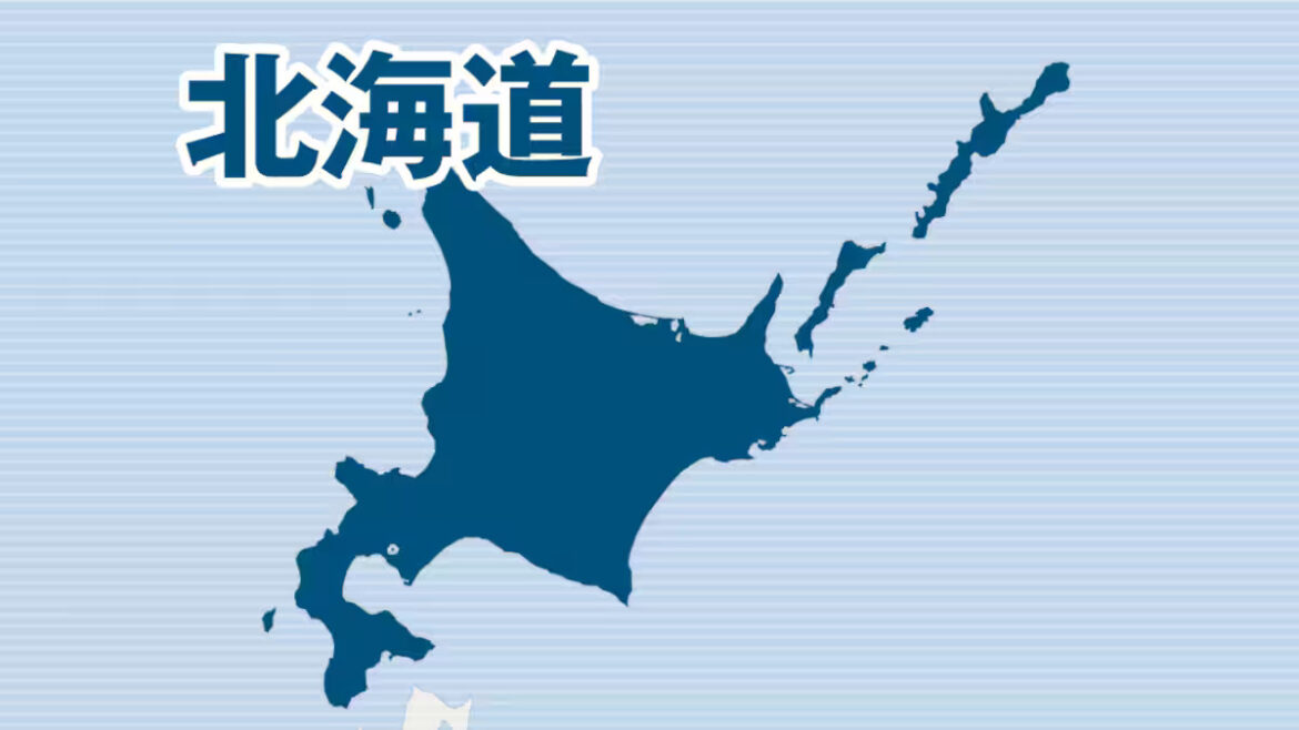 Hokkaido man arrested after intentionally running down woman in Sapporo hotel parking lot Hokkaido man arrested after intentionally running down woman in Sapporo hotel parking lot