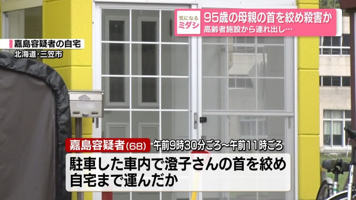 Hokkaido man strangles mother, 95, after taking her out to ‘see cherry blossoms’