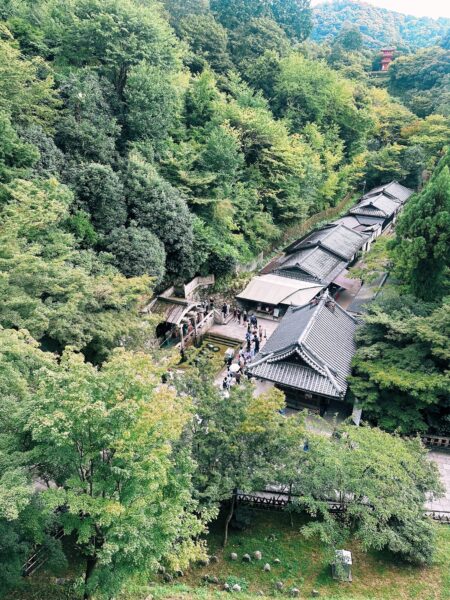 Homes surrounded by dense forest, Japan