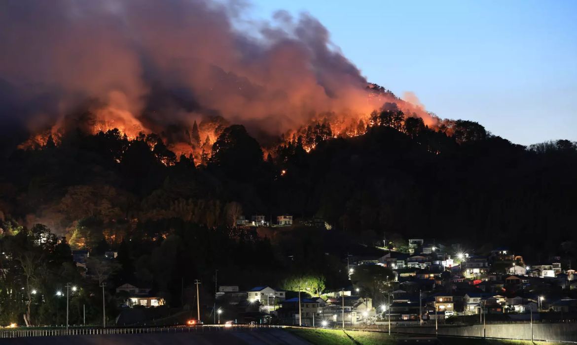 Japan extinguishes massive forest fire after 11 days of firefighting