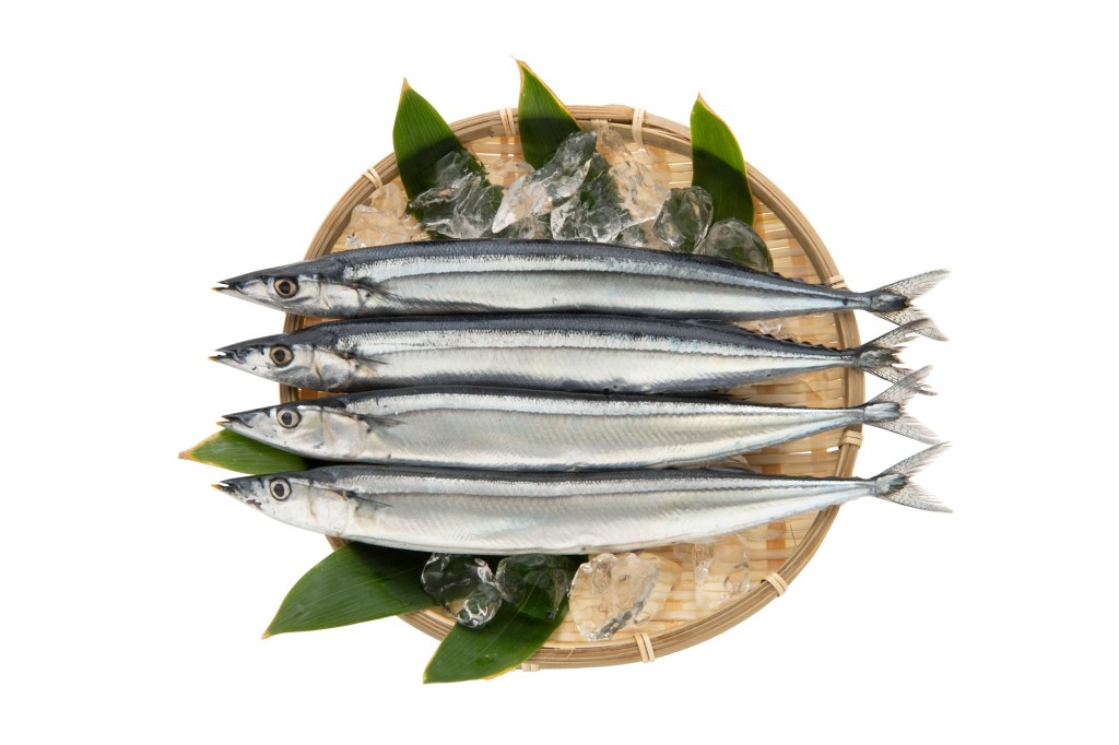 Japan House Los Angeles looks at the country’s culinary tradition in new exhibit – Daily News Japan House Los Angeles looks at the country’s culinary tradition in new exhibit – Daily News