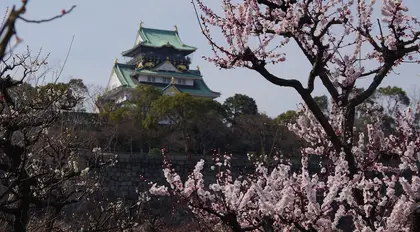 Top 10 Places to Admire Plum Blossoms in Japan Top 10 Places to Admire Plum Blossoms in Japan