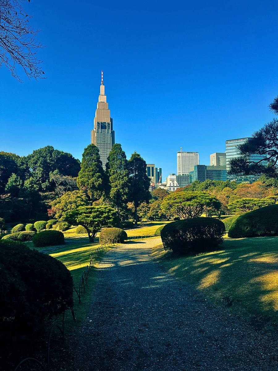 Shinjuku Gyoen and Its Lessons on Slowing Down Amid Nature and Flowers