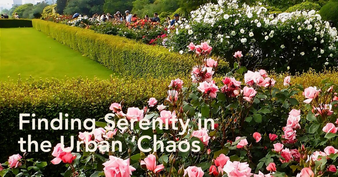 Japan’s Shinjuku Gyoen National Garden in Tokyo Offers Tranquility Amid the Hustle and Bustle of the City