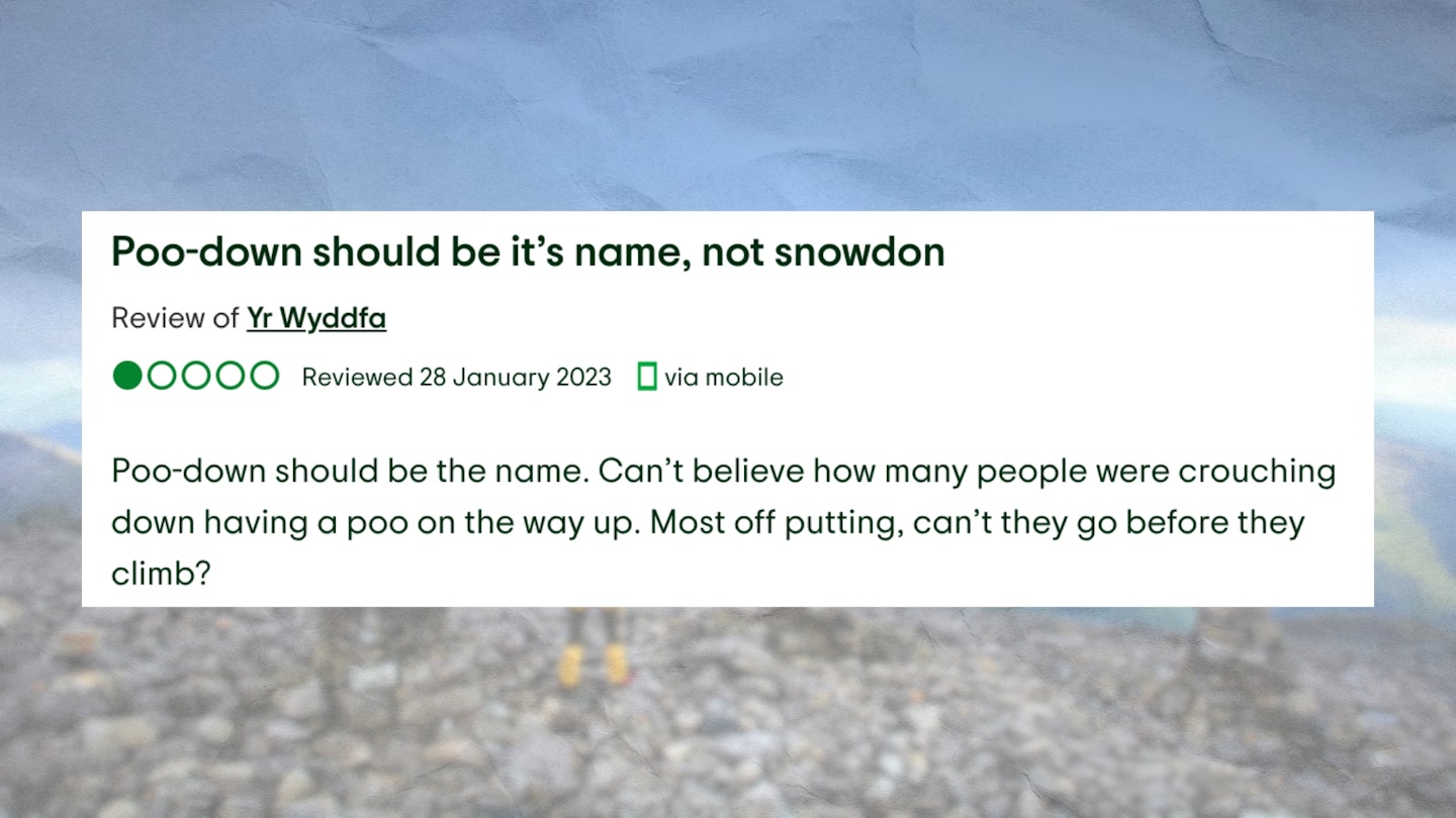 Snowdon review