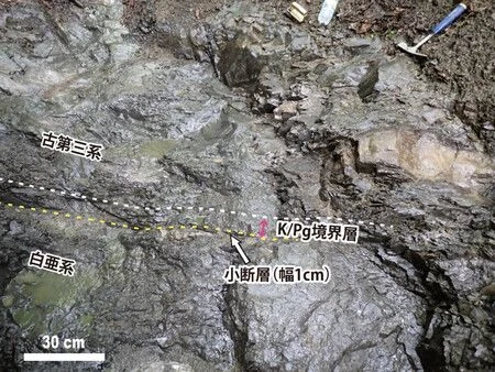 The K Pg boundary layer indicating traces of an asteroid impact from about 66 million years ago, found in the town of Urahoro, Hokkaido. Credit: Tohoku University