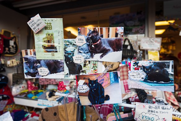 As well as cats, in Yanaka, you’ll also find an outpost of Melbourne cafe and design store Cibi.