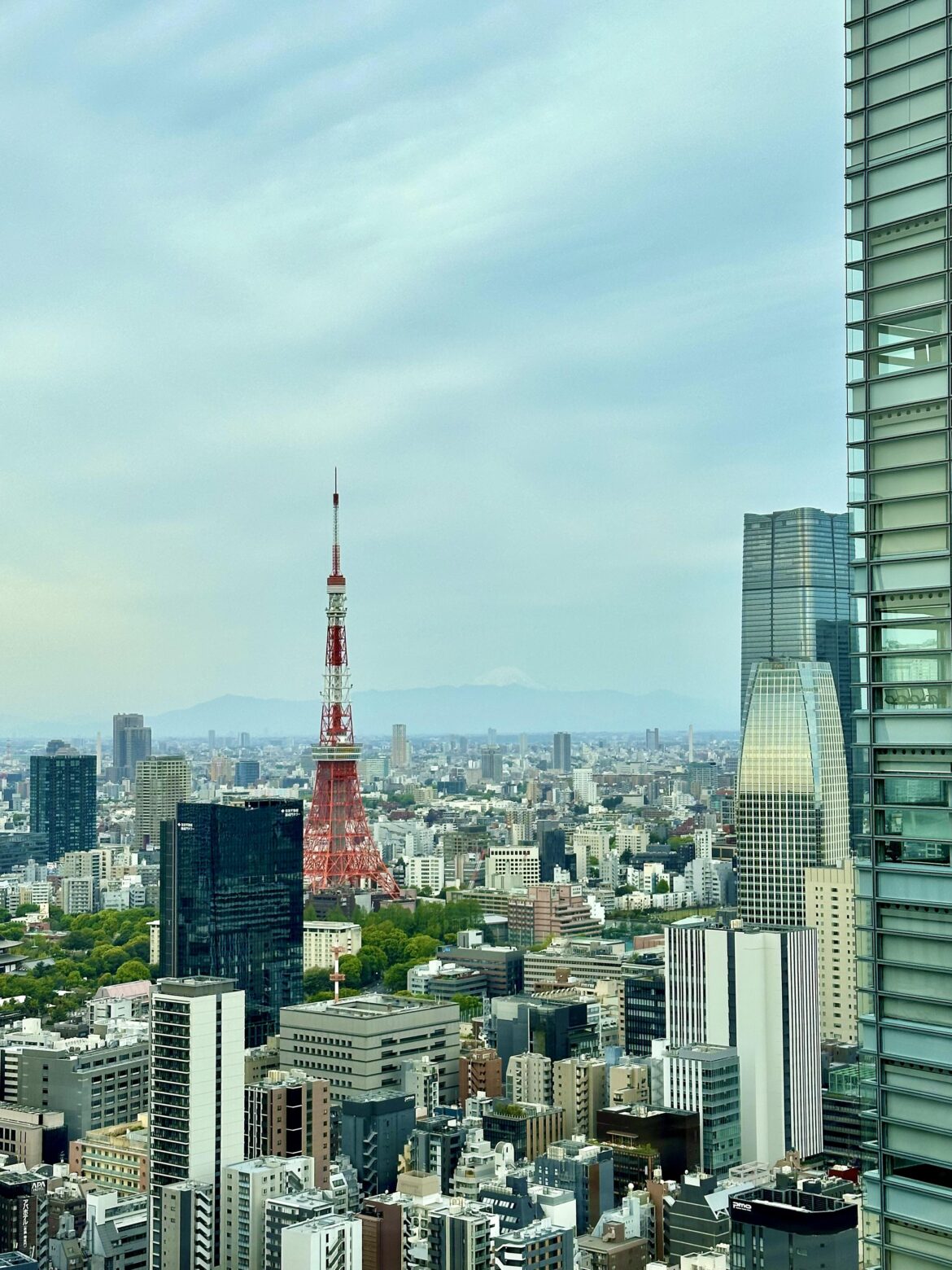 Tokyo Hotel View