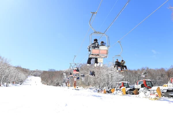 Relaxing view from the lift enjoying nature