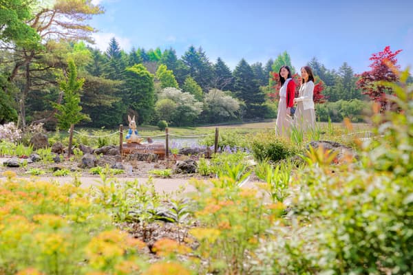 The Peter Rabbit English Garden