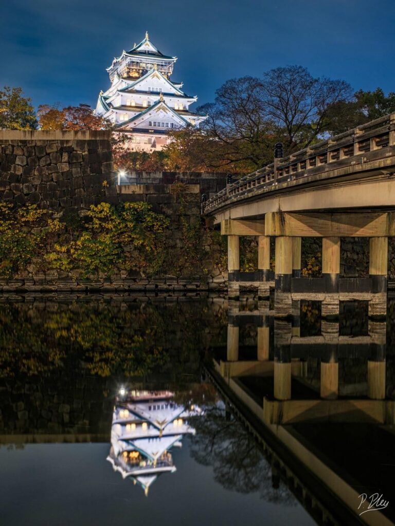 Osaka castle at night