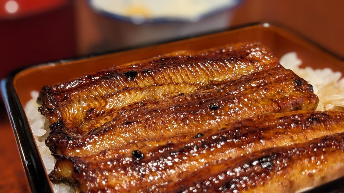 Unaju (Grilled Eel over Rice)