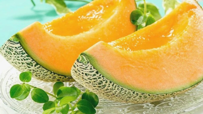 Hokkaido Melon Demand: $36,000 Hokkaido Melon Demand: $36,000 - RaillyNews